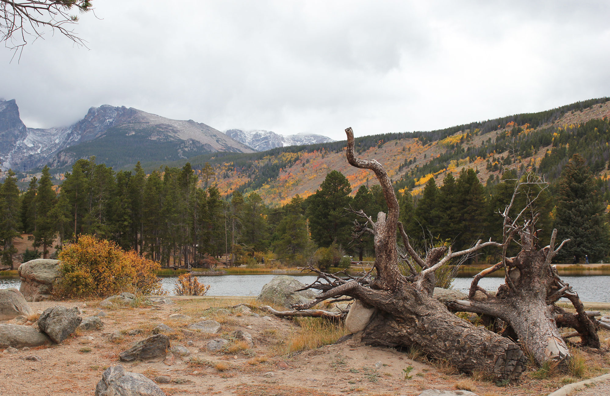 Rocky Mountain National Park 