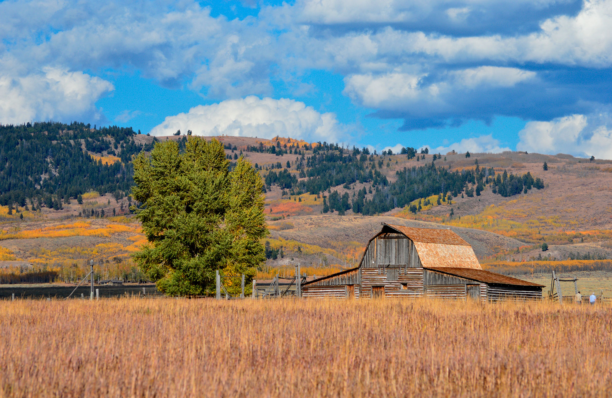 Moulton Barn