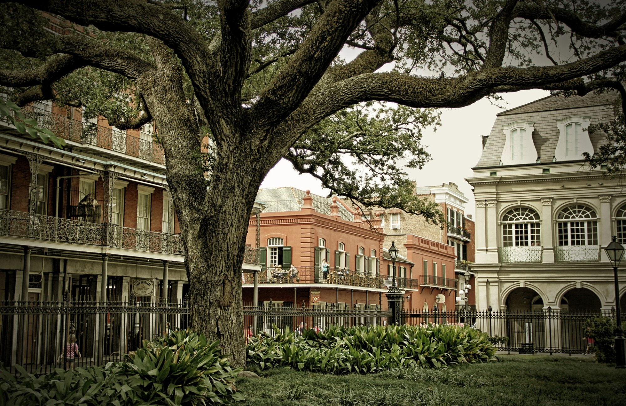 french-quarter-nouvelle-orleans-Amplitudes