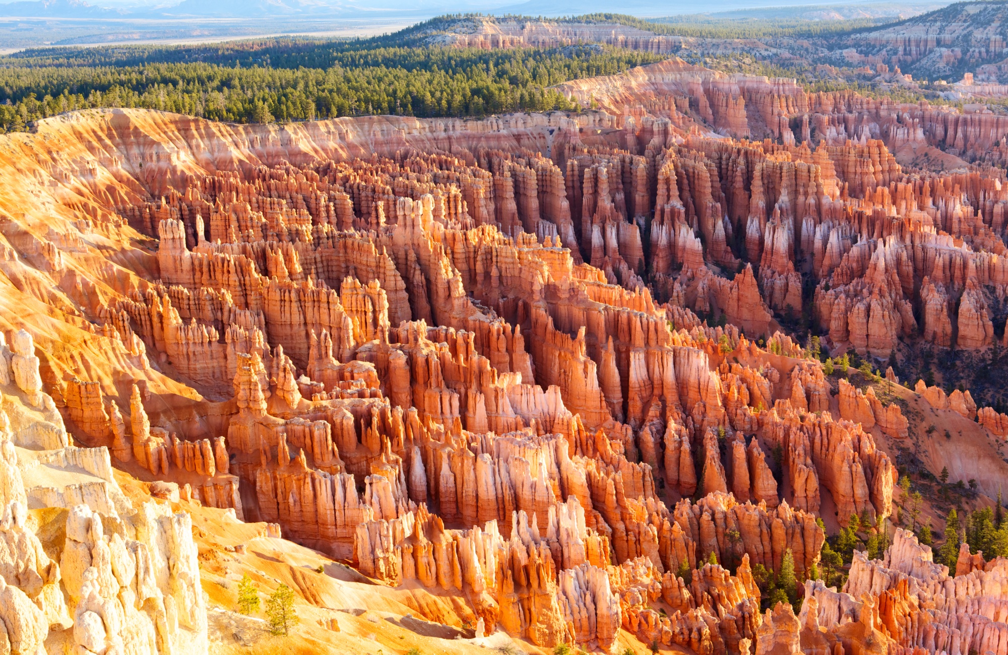 Voyage Utah - Bryce Canyon - Amplitudes