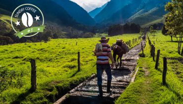 Voyage Colombie - Vallée de Cocora région du café - Amplitudes