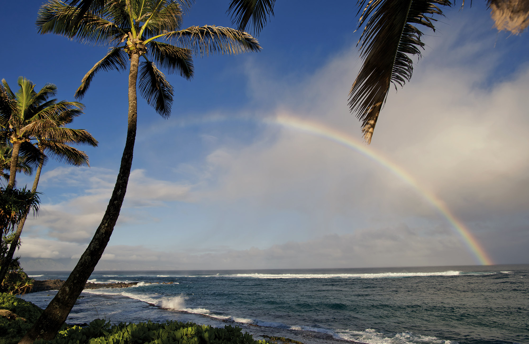 Voyage Hawaii - Maui arc-en-ciel - Amplitudes