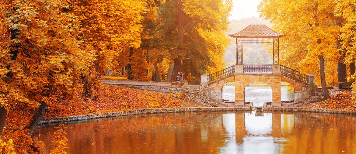 Momijigari en automne, quand partir au Japon avec Amplitudes