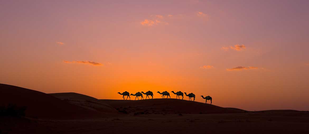 Voyage Oman - Wahiba Sands - Amplitudes