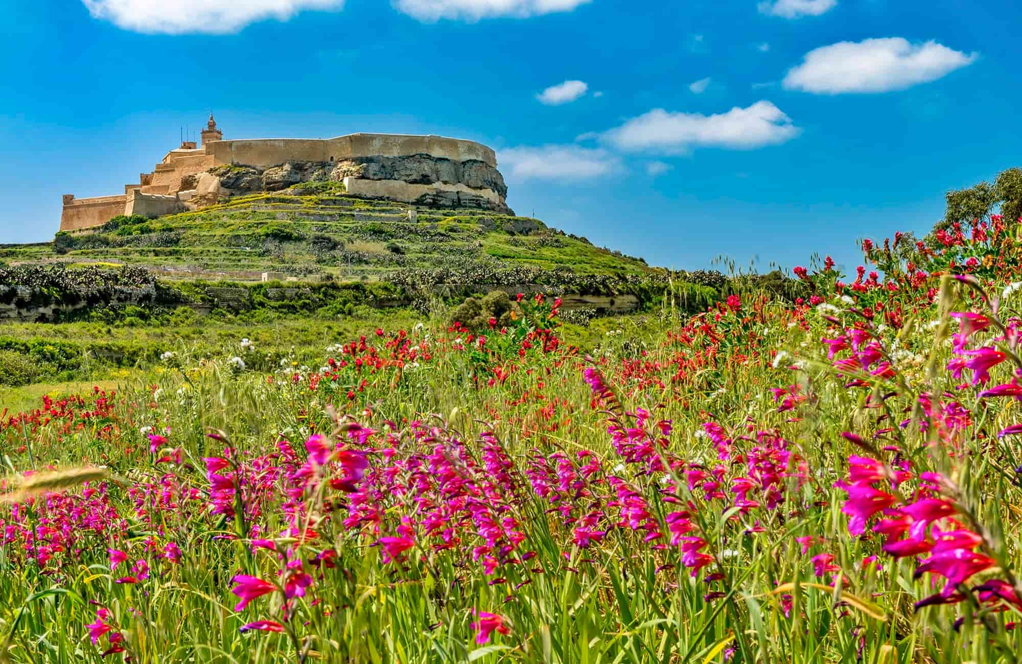 Voyager Malte - Gozo - Amplitudes