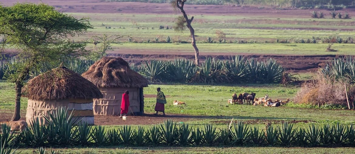 Voyage en Tanzanie - Massaï - Amplitudes