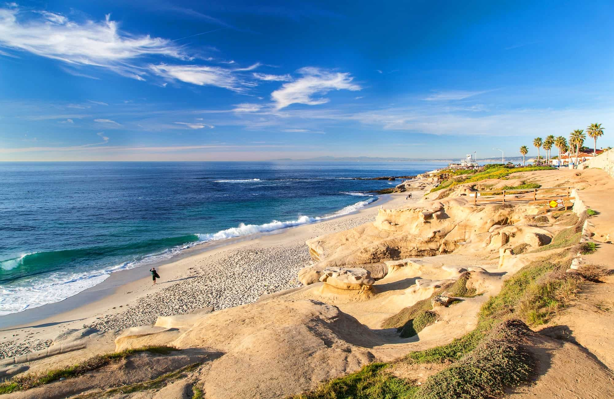 Partez-vous amuser dans les vagues des plages de la Jolla 