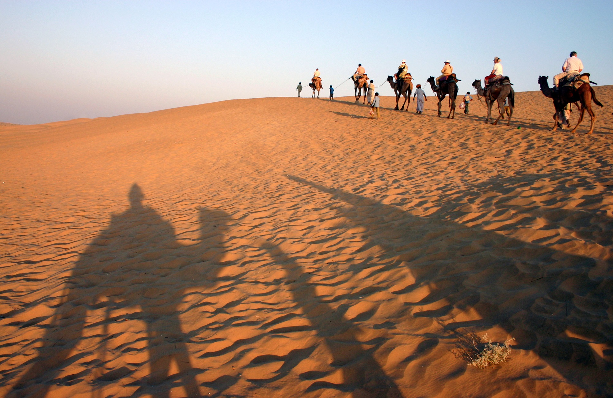 Voyage en Inde - Désert du Thar - Amplitudes 