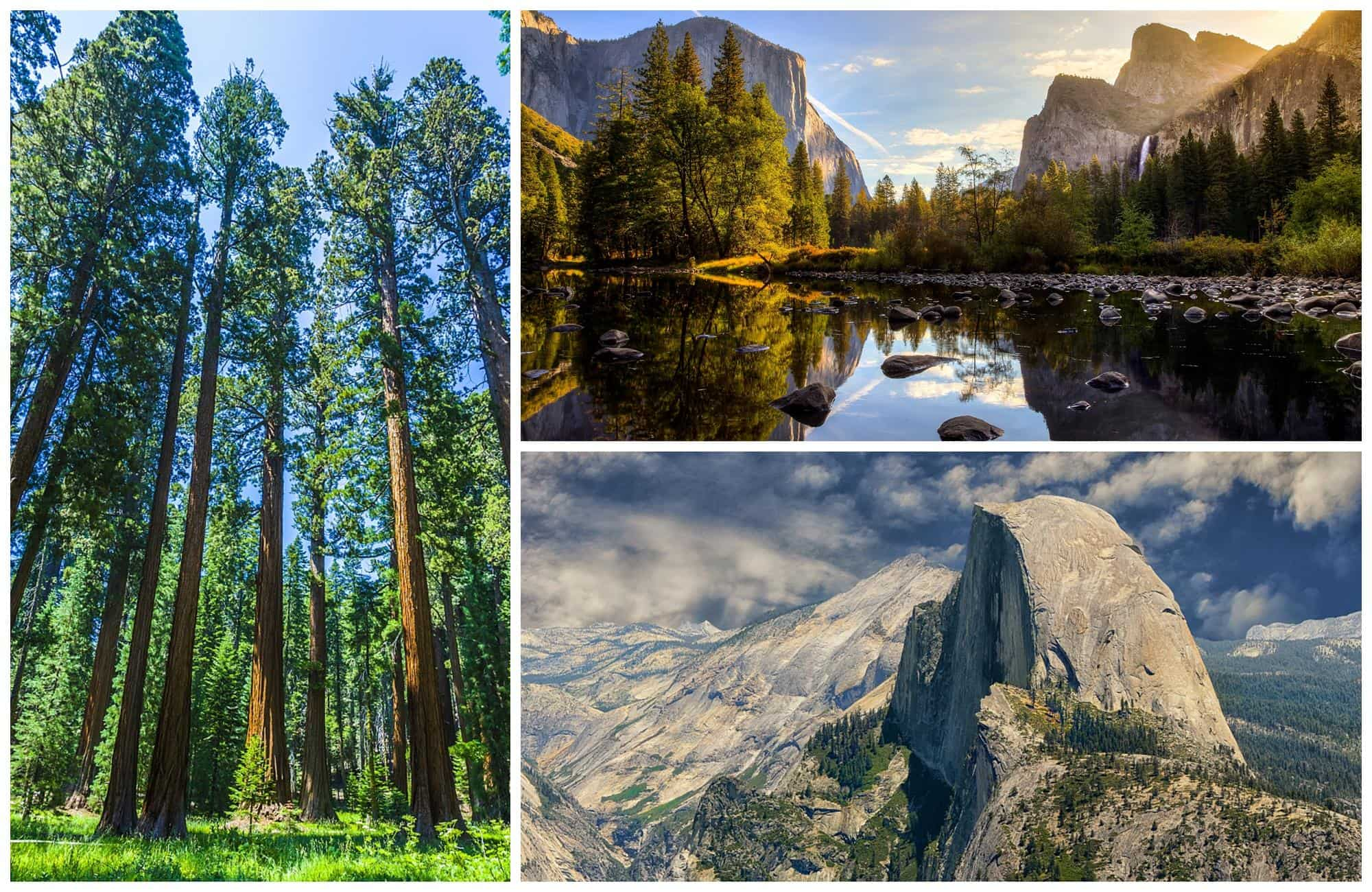 séquoias géants, Tunnel View et lac dans le parc Yosemite