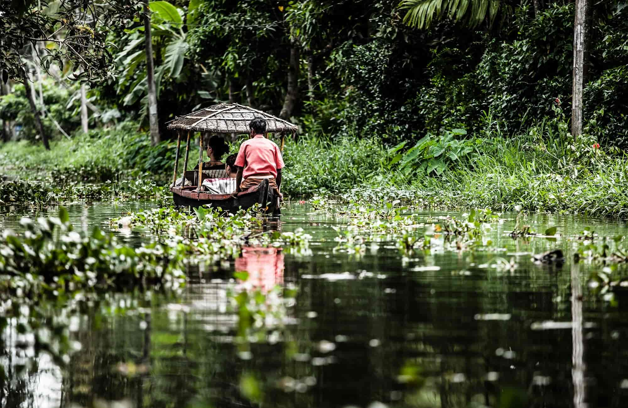 Voyage au Kerala - Backwaters - Amplitudes