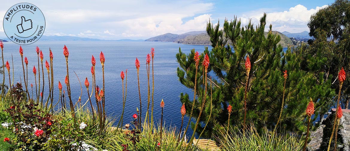 Voyage en Bolivie - Lac Titicaca - Amplitudes