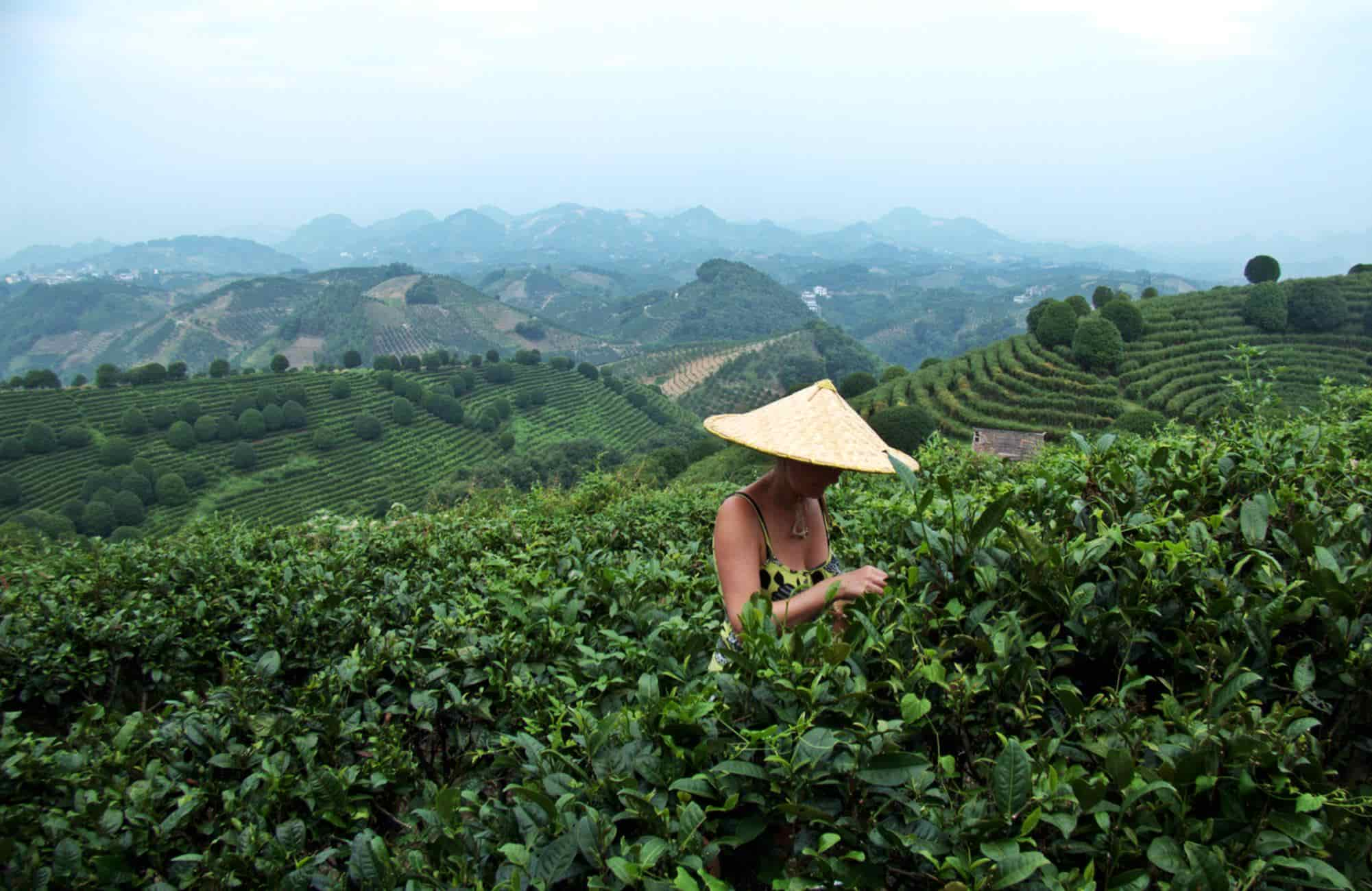 Voyage en Chine - Yangshuo - Amplitudes