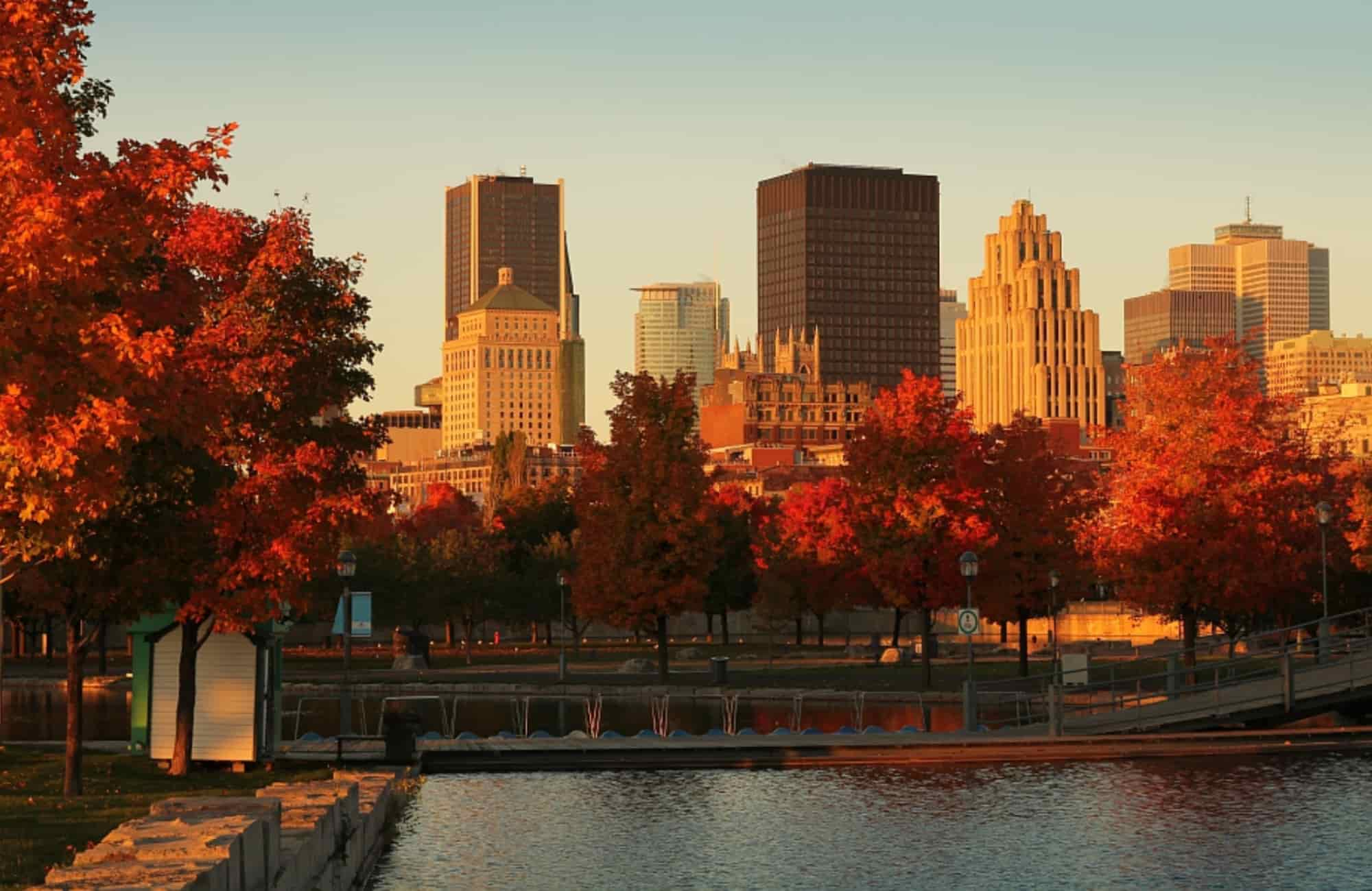 Voyage Québec - Montréal à Halloween - Amplitudes