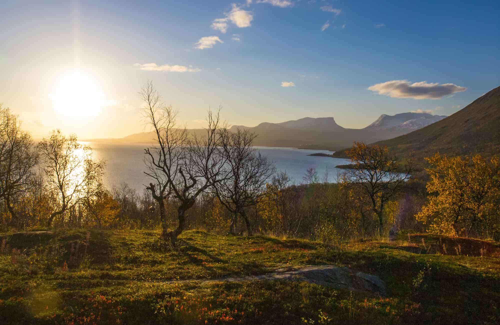 Voyage Laponie - Parc National d'Abisko - Amplitudes