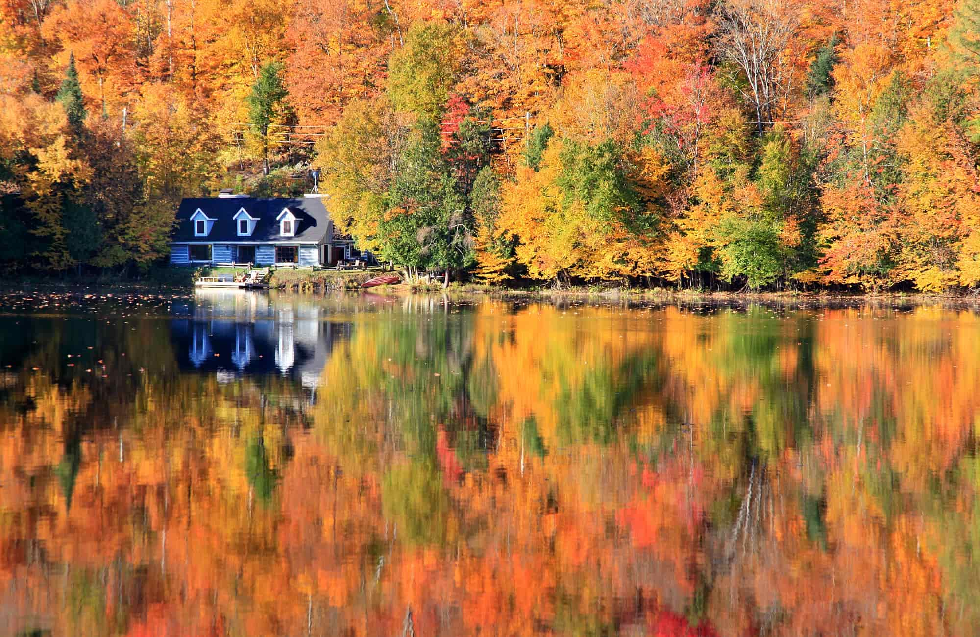 Voyage au Québec - Une cabane au fond des bois - Amplitudes