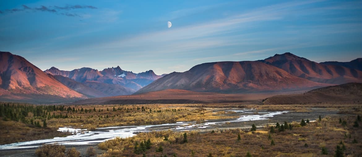 Voyage Alaska - Les parcs d'Alaska - Amplitudes