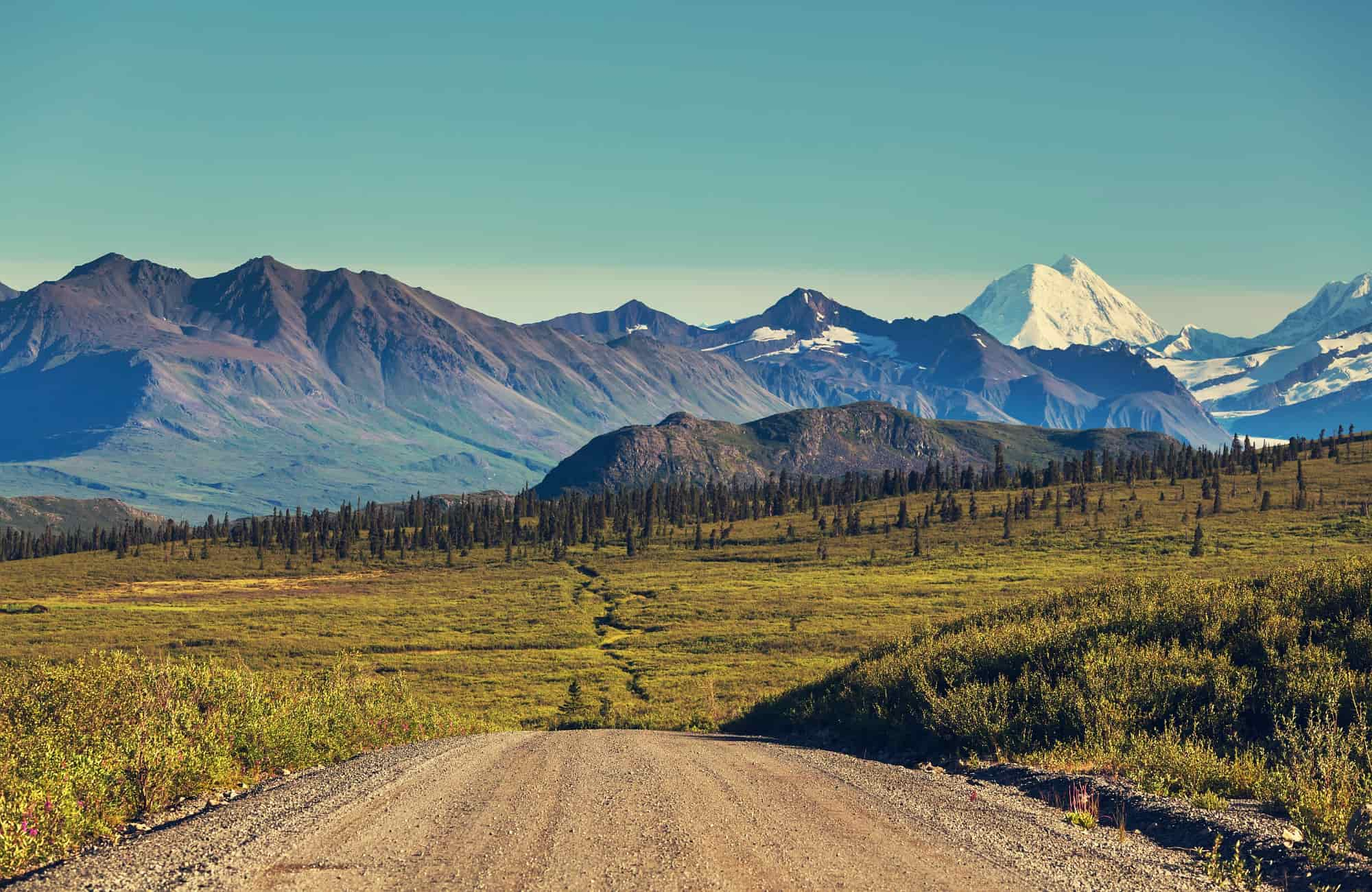 Voyage Alaska - Les routes désertiques d'Alaska - Amplitudes