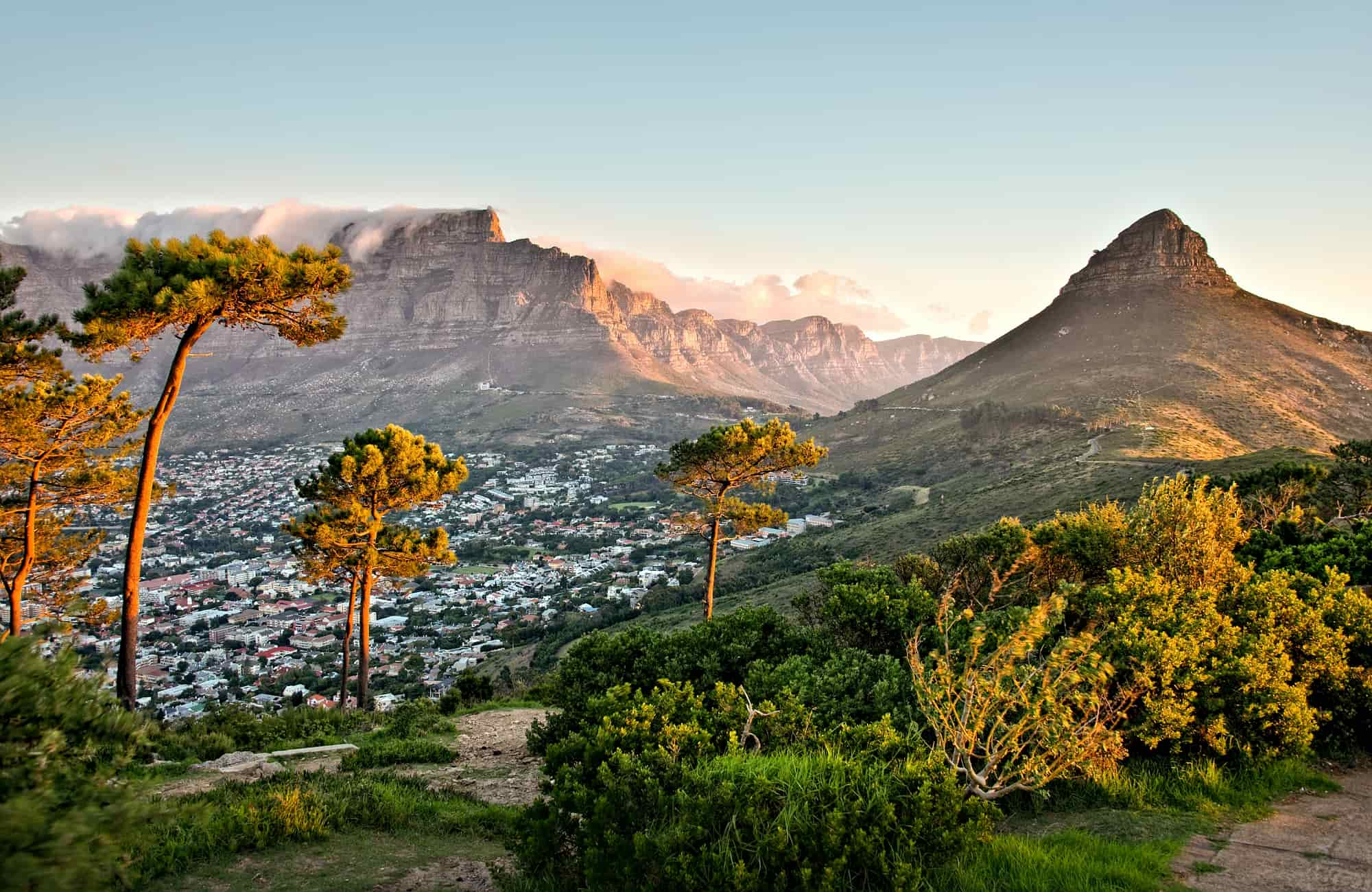 Voyage Afrique du sud - Le Cap - Amplitudes