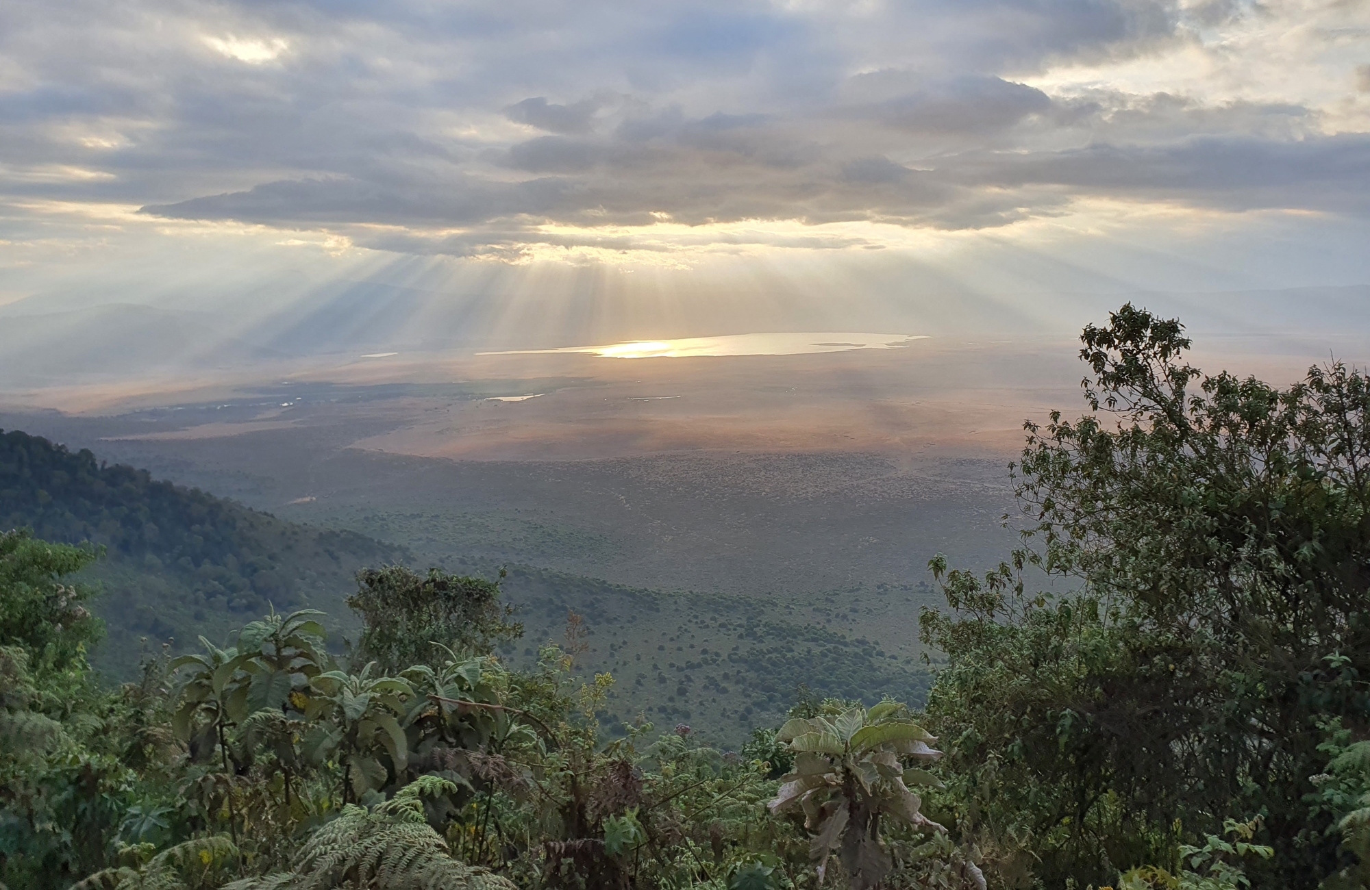 Safari photo Tanzanie - Ngorongoro - Amplitudes