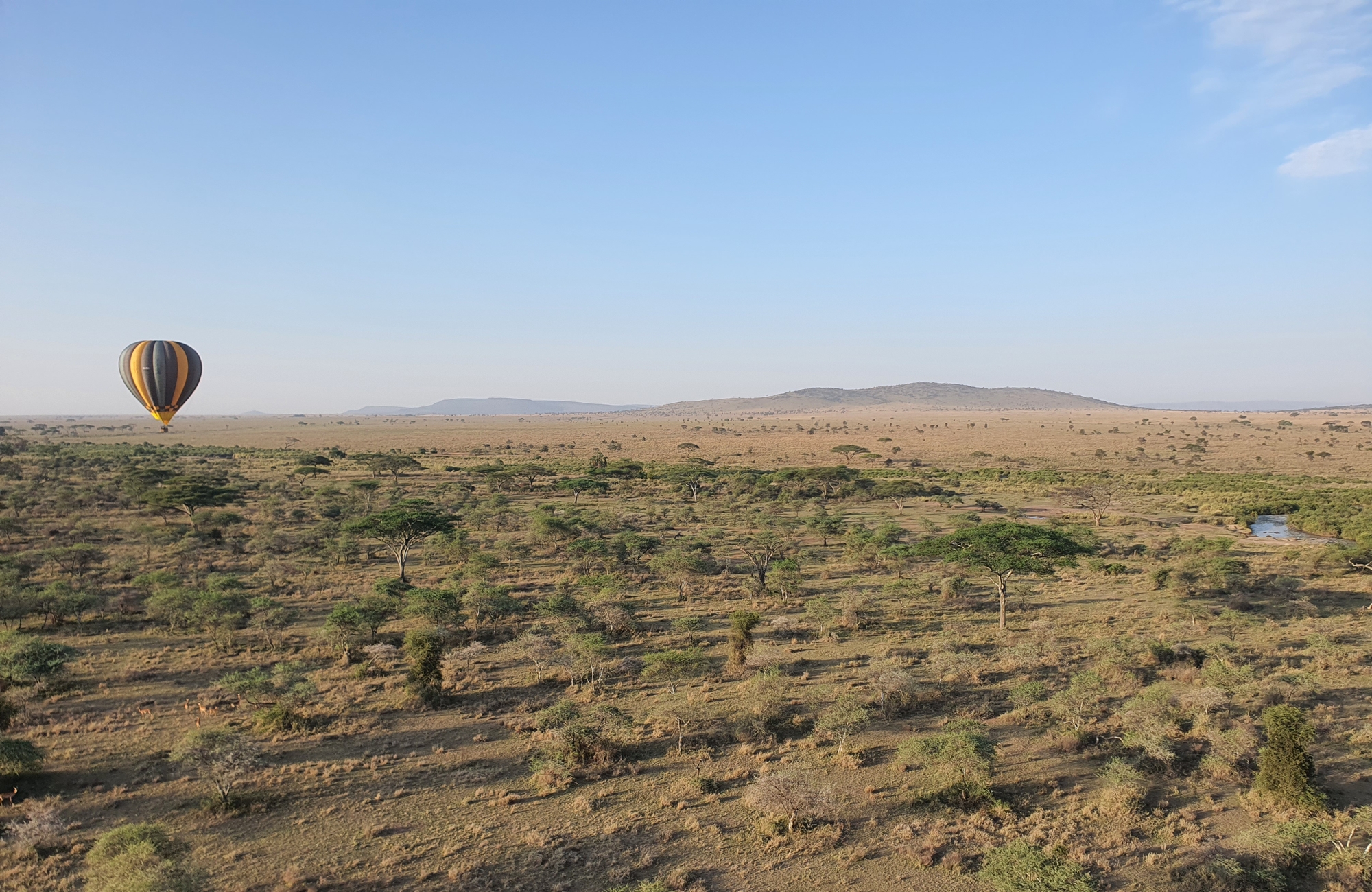 Safari photo Tanzanie - Montgolfière - Amplitudes