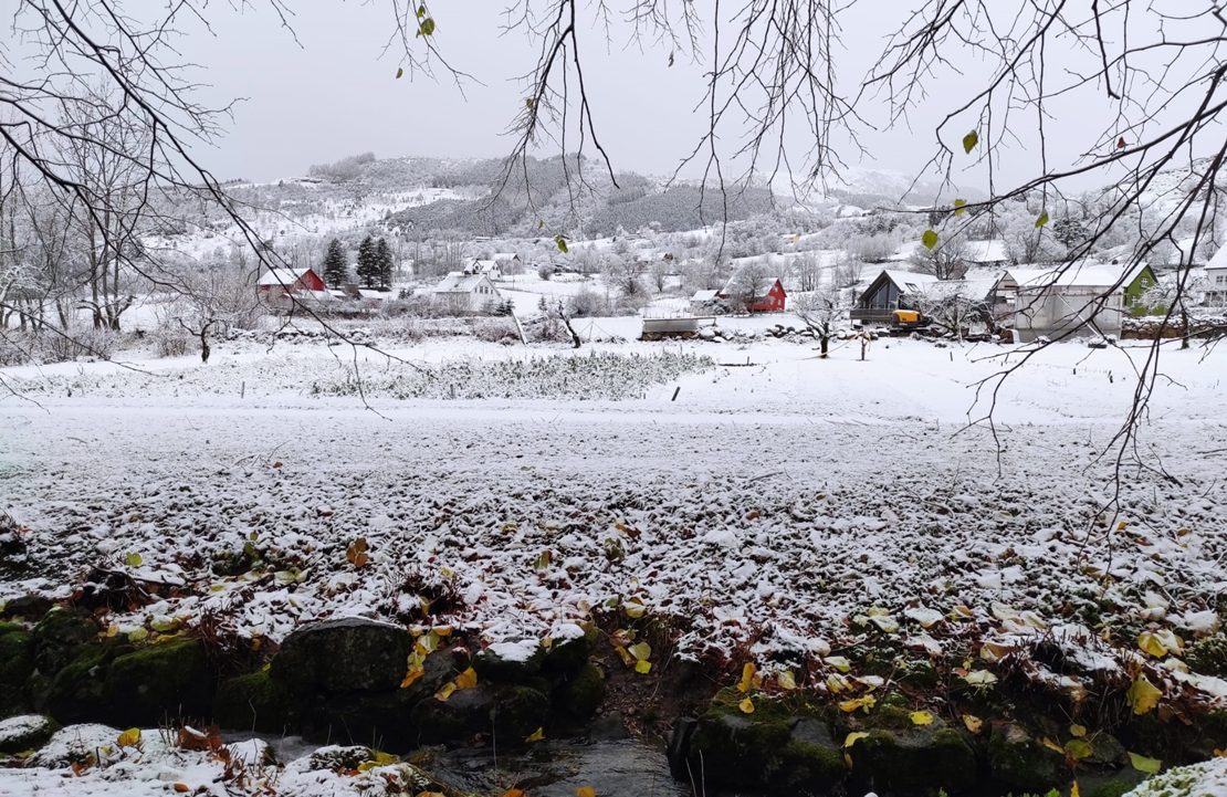 Noël Norvège - Campagne enneigée - Amplitudes