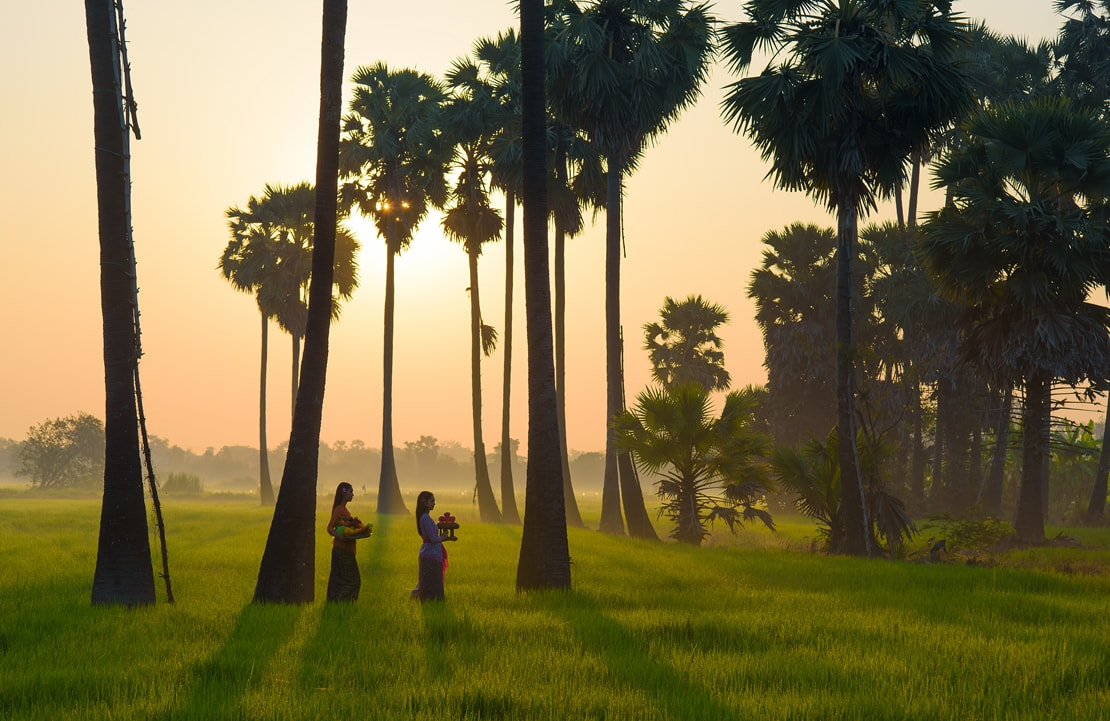 Voyage Indonésie - Ubud Rizières - Amplitudes