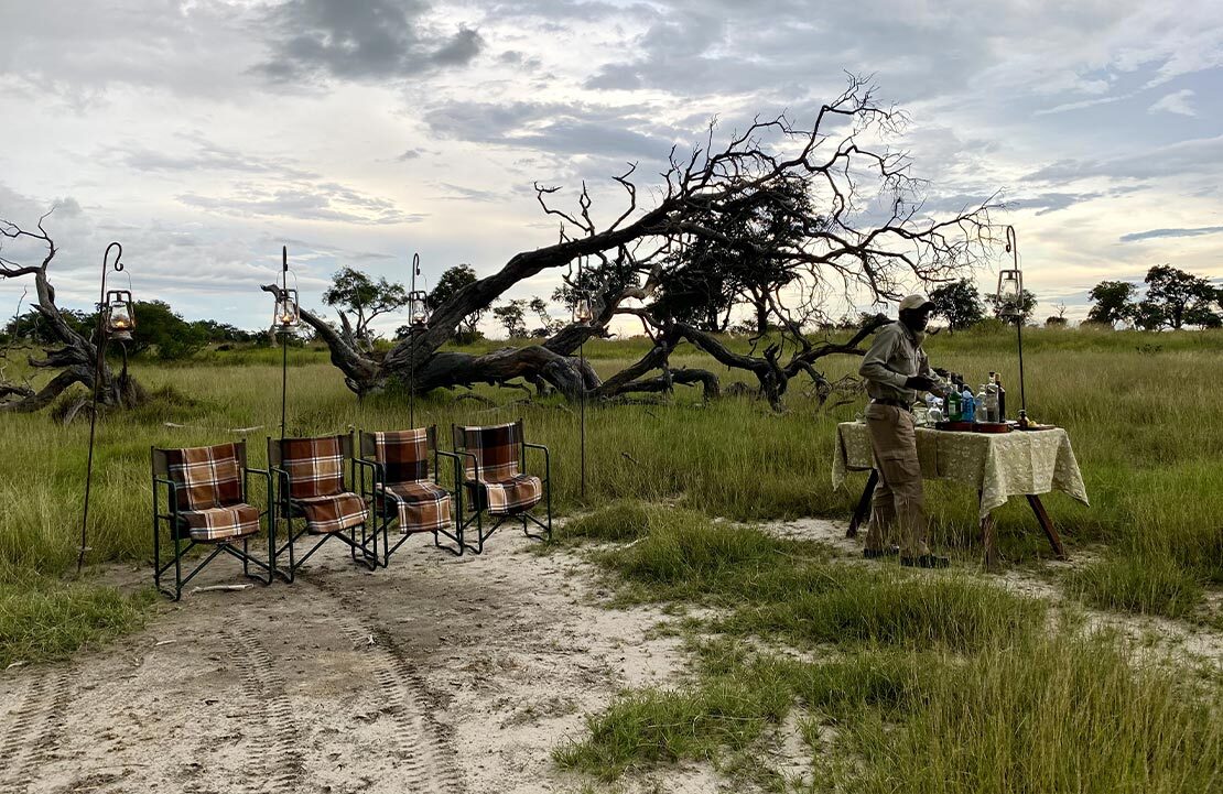 Safari Botswana - Apéro Delta de l'Okavango - Amplitudes