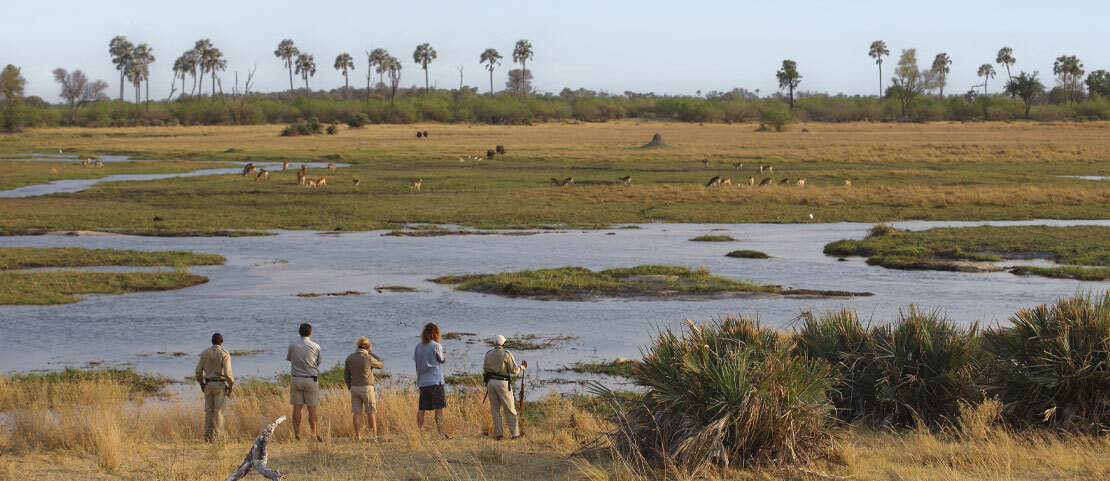 Crédit photo : andBeyond Sandibe Okavango Safari Lodge