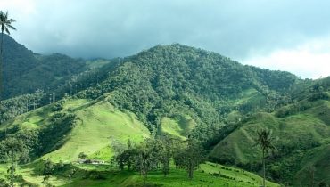 Séjour Parcs Naturels Colombie - Vallée de Cocora - Amplitudes