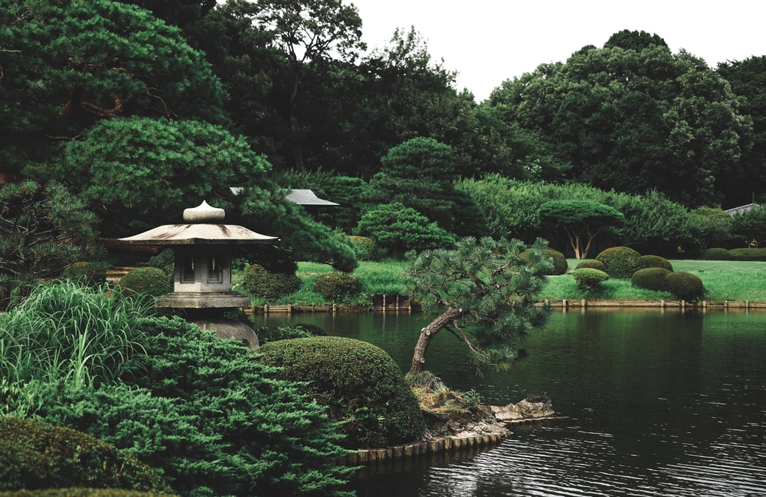 Séjour culturel Japon - La sérénité du jardin Shinjuku Gyoen - Amplitudes