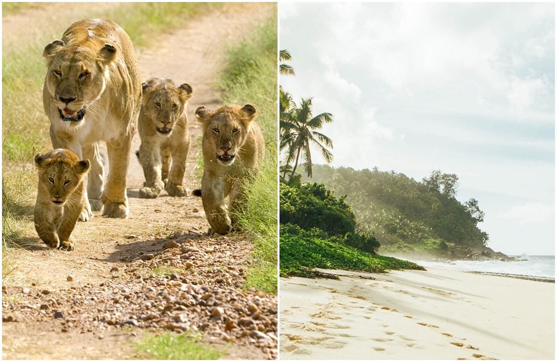 Voyage en famille - Combiné Kenya - Seychelles - Amplitudes