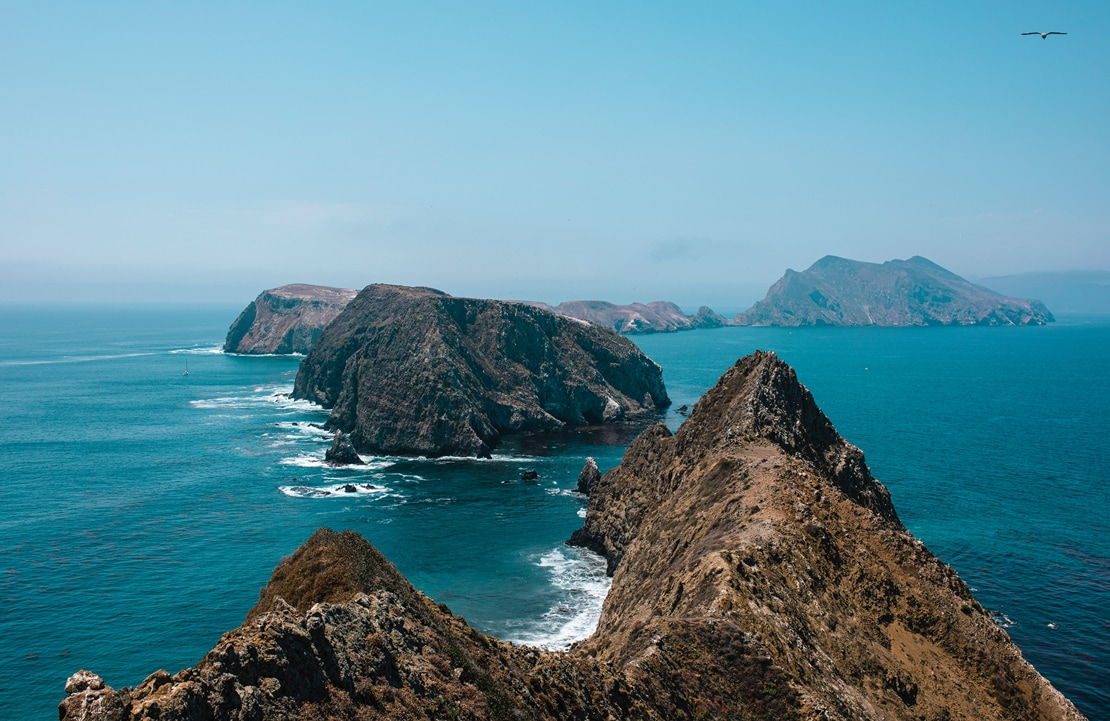 Séjour Parcs Naturels de Californie - Channel Island - Amplitudes