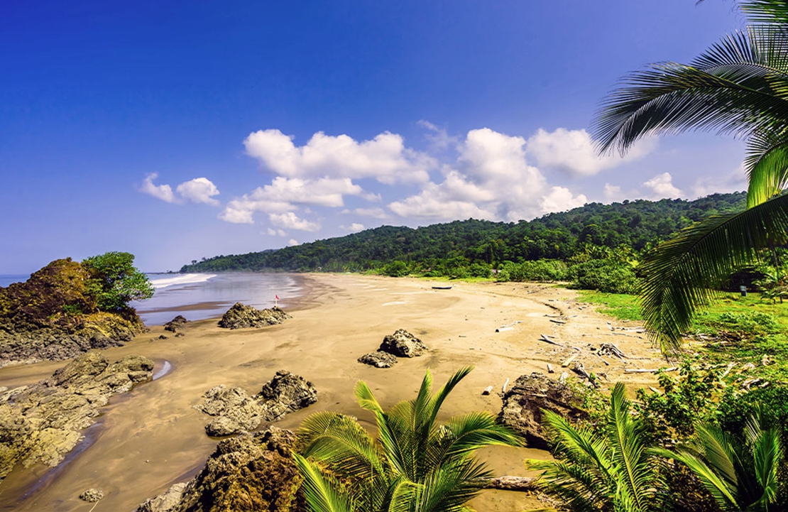 Autotour en Colombie - La plage de l'Almejal à Bahia Solano - Amplitudes