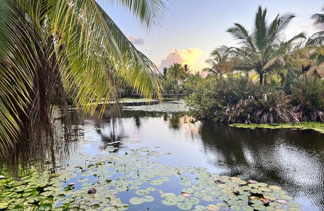 Voyage de luxe à Huahine – Les jardins aquatiques de Huahine – Amplitudes