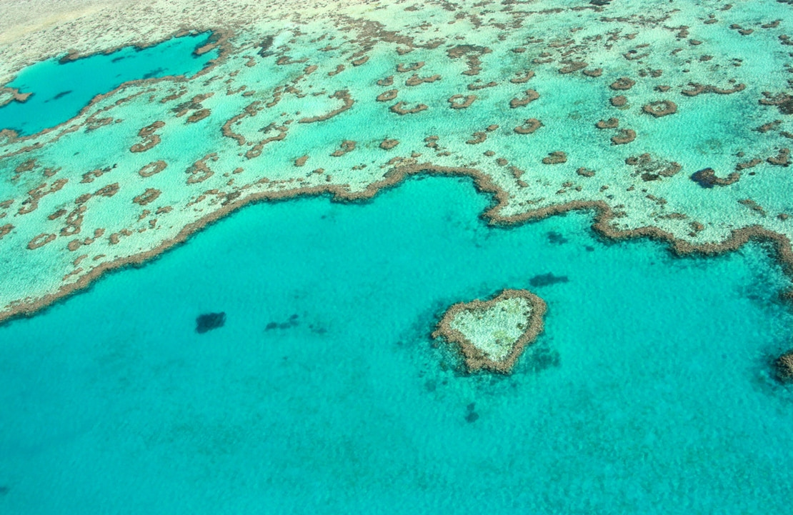 Voyage en famille dans les îles Whitsundays - La Grande Barrière de Corail vue du ciel - Amplitudes