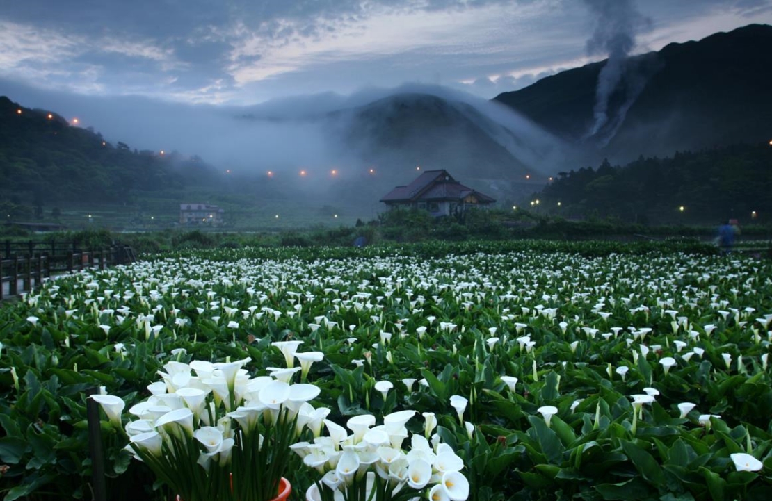 Les volcans de Yangmingshan - Prairie - Amplitudes