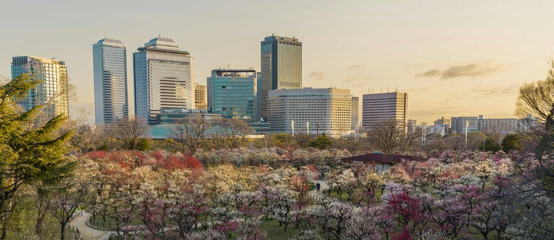 Que faire à Osaka - Savourer la vue - Amplitudes