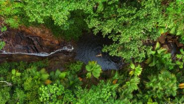 Voyage sur mesure aux Seychelles - La vallée de Mai - Amplitudes