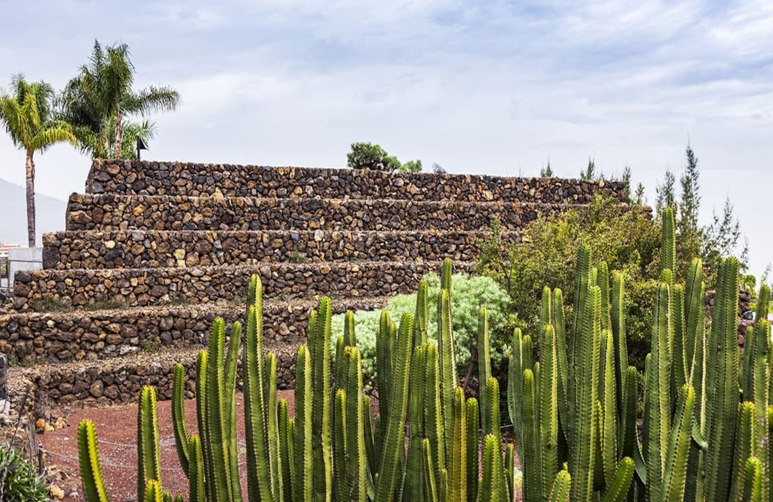 Circuit au volant - Pyramides de Guimar - Amplitudes