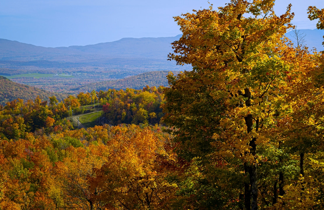 Voyage gastronomique au Québec - La route des vins en automne - Amplitudes