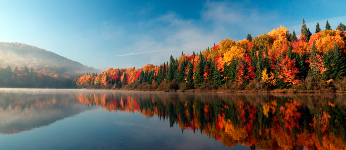 Voyage dans les plus beaux paysages d'automne