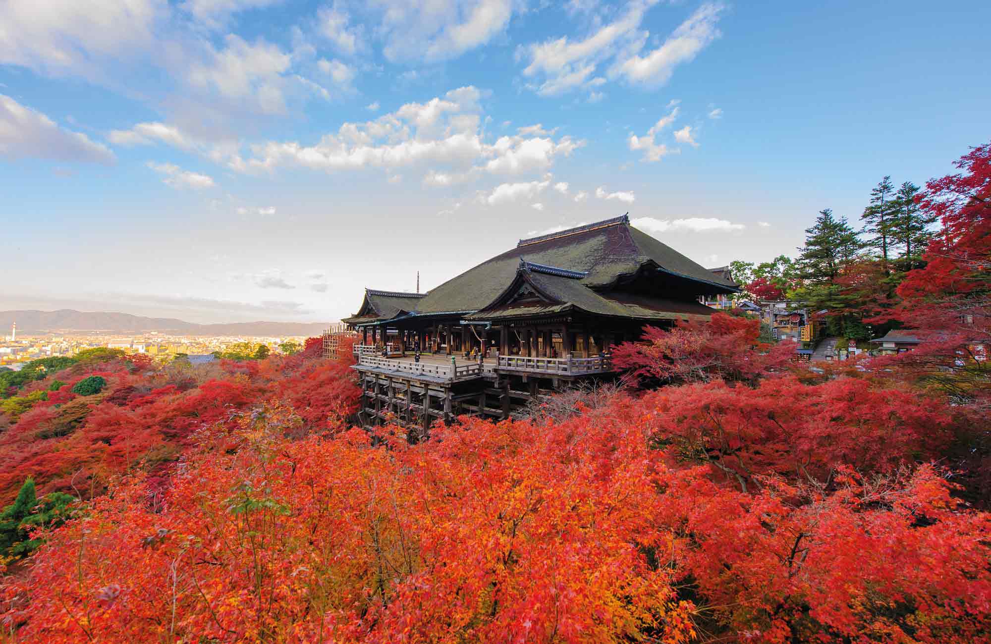 momijigari en automne, meilleure période pour partir au Japon par Amplitudes