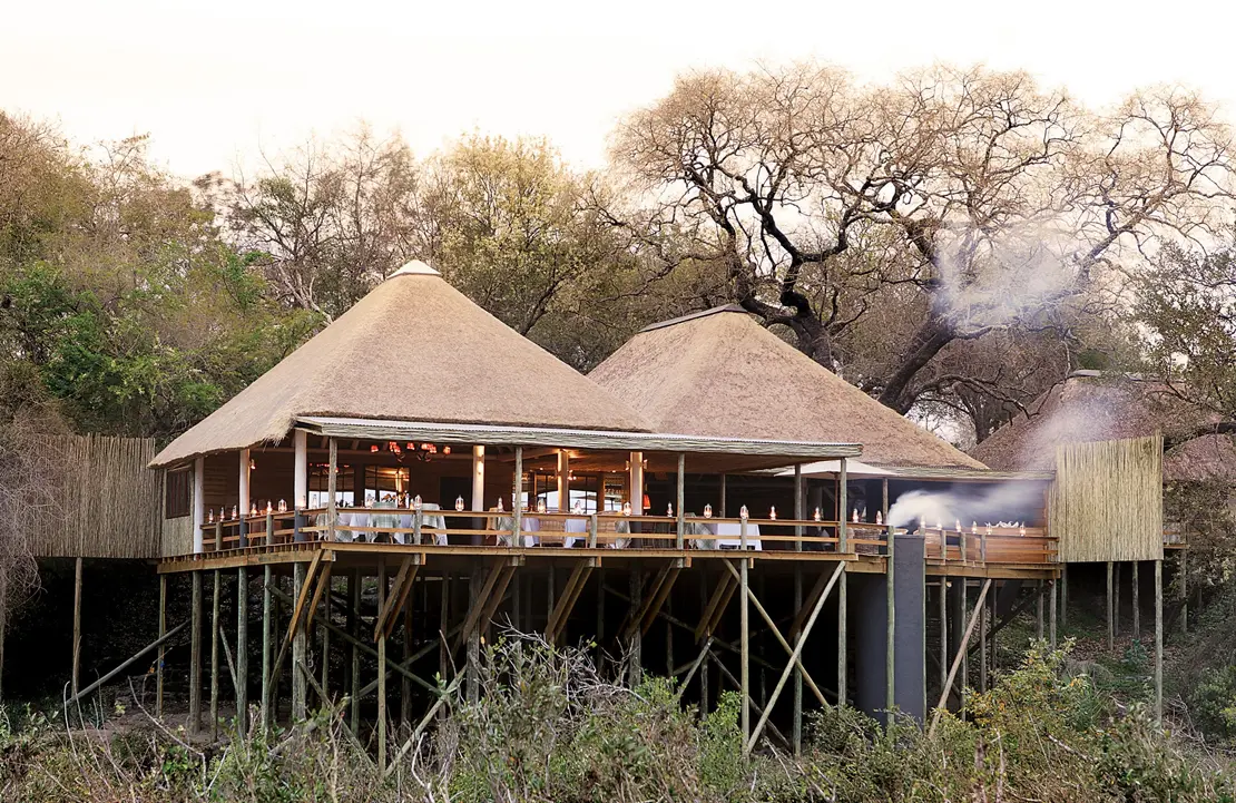 Londolozi Founders Camp - Lodge Sabi Sand - Amplitudes