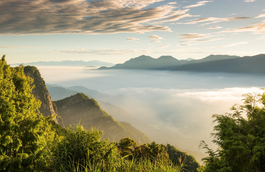 Visiter Taïwan - Le Parc national d'Alishan dans les nuages - Amplitudes