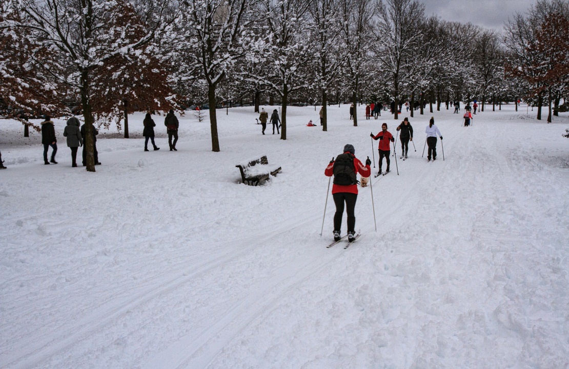 City trip à Montréal en hiver - ski de fond à Mont Royal - Amplitudes 