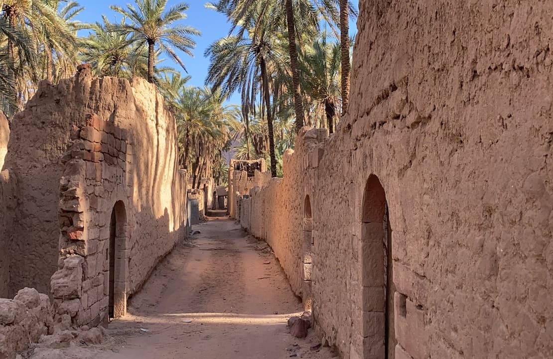 Voyage entre amis en Arabie saoudite - Oasis d'AlUla - Amplitudes 