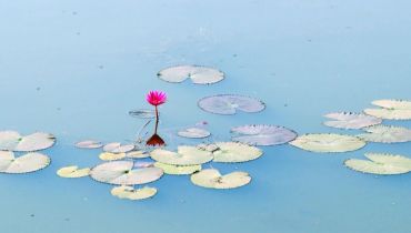 Pano Plus belles photo 2024 - Cambodge - Amplitudes