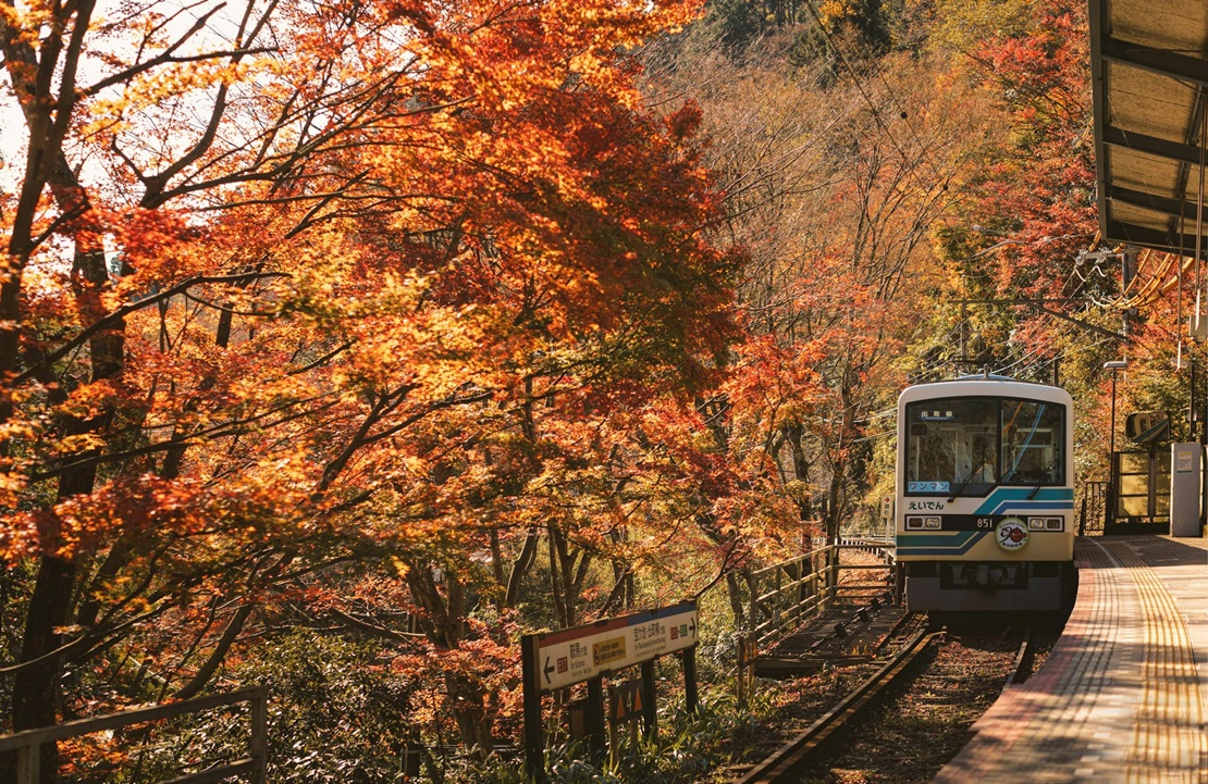 Voyage en train dans la péninsule de Kii - ligne locale - Amplitudes