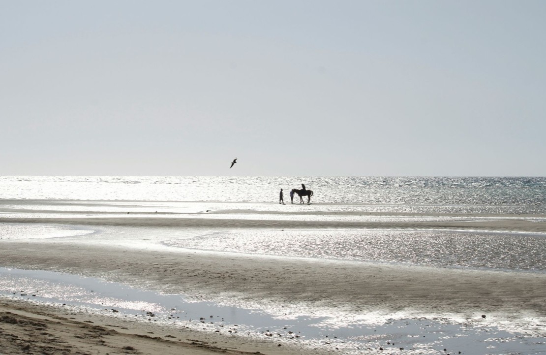 Voyage à Umluj sur mesure - Un paysage d'Arabie saoudite hypnotisant, les plages blanches de la mer Rouge - Amplitudes