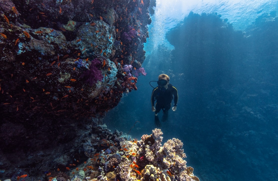 Voyage à Jeddah en couple - Les récifs coralliens de la mer Rouge - Amplitudes